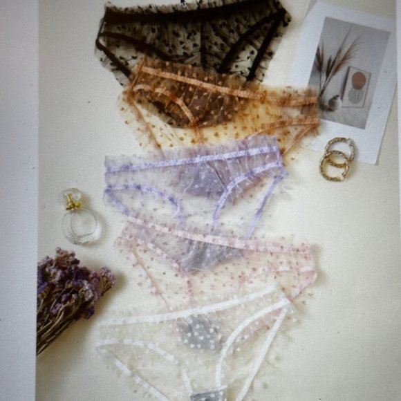 Brand New Plus 5-pack Heart Print Mesh Multicolored Panty Set (14) 1XL - Picture 4 of 5